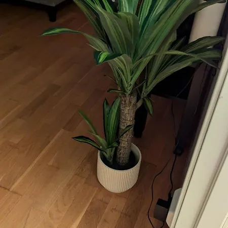 Storhaug Apartment *